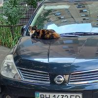 Avatar of pal4ikvpopu