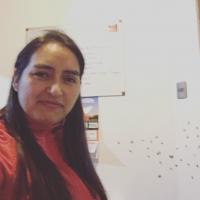 Paula Reyes Jara's avatar