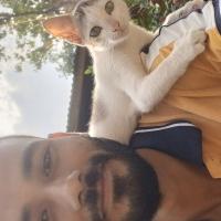 Avatar of PANGKAJ MANDAL