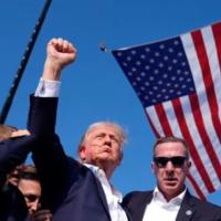 Avatar of Partenope1926