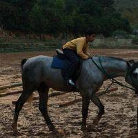 Avatar of Patrick Nehme