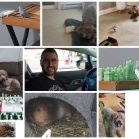 Avatar of Patrick Goguen