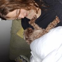 Avatar of paulazanetti