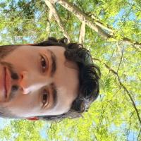 Avatar of PAVIUDESPRO