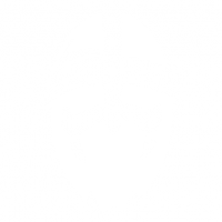 Pedro Gil Ferreira Da Silva's avatar