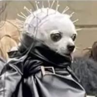 Avatar of pepabikros