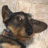 Avatar of Pepe Velasco