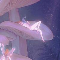 clémence sylvan's avatar