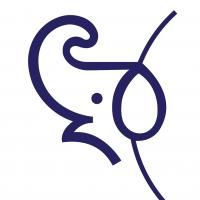 Avatar of Mohammadhossein Shamsi