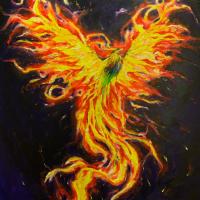 Avatar of Rohan Shan Tze Navaratnam