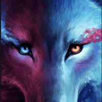 Kevin Willathgamuwa's avatar