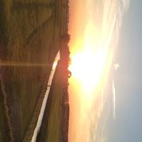 Avatar of PietjeBell15