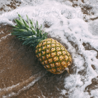 pineapplepawn555's avatar