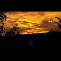 Antonio Lopez Del Alamo