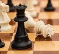 Shachar Gindi's avatar