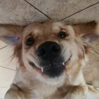 Alicja Sliwicka's avatar