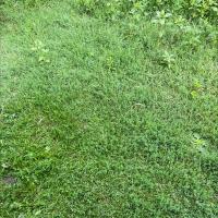 Avatar of POLLETJAURES