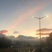 Avatar of Pon-Pon-Gorrion