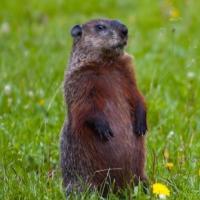 Avatar of ✈️🚒🎣 🔦🛞🛴