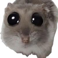 Avatar of Pratham152406