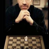 Avatar of Predrag Plakalovic