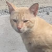 Avatar of Prince Jerome Gadon