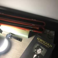 Avatar of Mendy Lemmer