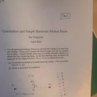 Avatar of Nico Chasin