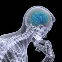 Avatar of PsicoAjedrez