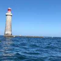 Avatar of Hans Martin