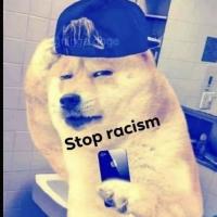 Avatar of Chris Kratofilow