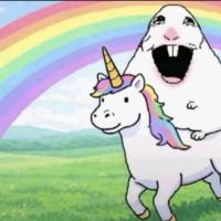 Avatar of Dinmukhammed Tulendinov