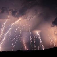 Avatar of Pukani Gallo