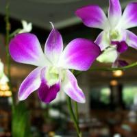 Ariana Pintor's avatar