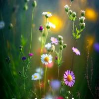 Avatar of Purushothaman Thirumalai