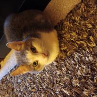 Avatar of QueenGrandma7