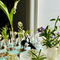 Avatar of Queens_Glambit