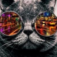 Avatar of Quelqu-unquiveutbagarre