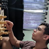 Avatar of rafaelmp_gm