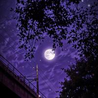 Avatar of Gardun🇦🇲