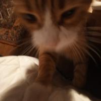 Avatar of Rainy_2013