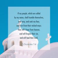 Avatar of Joe Freedom