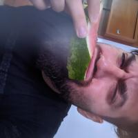 Avatar of RedmiNote13ProPlus5g