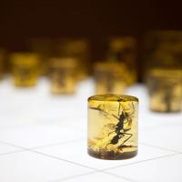 Avatar of Karl Zander