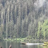 Avatar of RegicideAK