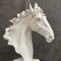 Avatar of Regio-Caballo