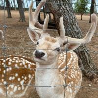 Łukasz Luba's avatar