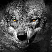 Avatar of repeated_blunder