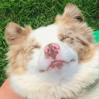 Marcell Szabo's avatar