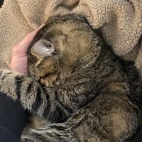 Avatar of Andrew McDaniel